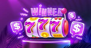 123dzo